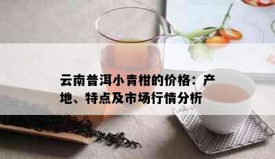 云南普洱小青柑的价格：产地、特点及市场行情分析