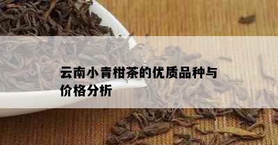 云南小青柑茶的优质品种与价格分析