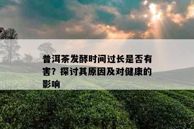 普洱茶发酵时间过长是否有害？探讨其原因及对健康的影响