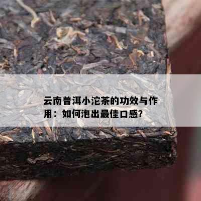 云南普洱小沱茶的功效与作用：如何泡出更佳口感？