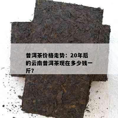 普洱茶价格走势：20年后的云南普洱茶现在多少钱一斤？