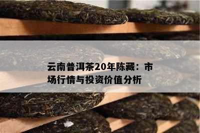 云南普洱茶20年陈藏：市场行情与投资价值分析