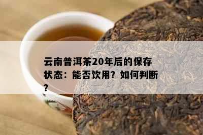 云南普洱茶20年后的保存状态：能否饮用？如何判断？