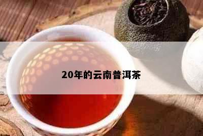 20年的云南普洱茶