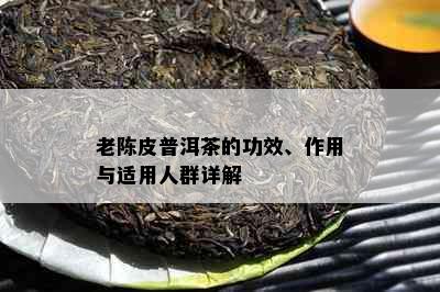 老陈皮普洱茶的功效、作用与适用人群详解