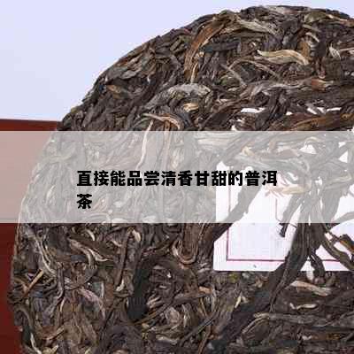 直接能品尝清香甘甜的普洱茶