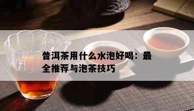 普洱茶用什么水泡好喝：最全推荐与泡茶技巧