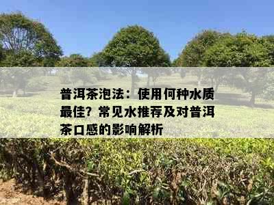 普洱茶泡法：使用何种水质更佳？常见水推荐及对普洱茶口感的影响解析