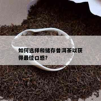 如何选择和储存普洱茶以获得更佳口感？