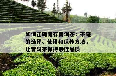 如何正确储存普洱茶：茶罐的选择、使用和保养方法，让普洱茶保持更佳品质