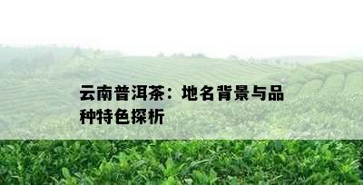 云南普洱茶：地名背景与品种特色探析