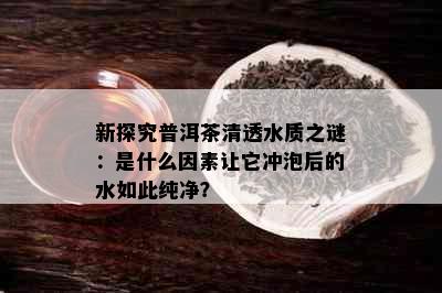 新探究普洱茶清透水质之谜：是什么因素让它冲泡后的水如此纯净？