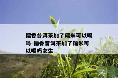 糯香普洱茶加了糯米可以喝吗-糯香普洱茶加了糯米可以喝吗女生