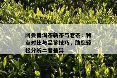 阿曼普洱茶新茶与老茶：特点对比与品鉴技巧，助您轻松分辨二者差异