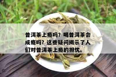 普洱茶上瘾吗？喝普洱茶会成瘾吗？这些疑问揭示了人们对普洱茶上瘾的担忧。