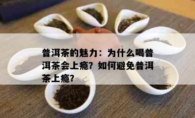 普洱茶的魅力：为什么喝普洱茶会上瘾？如何避免普洱茶上瘾？