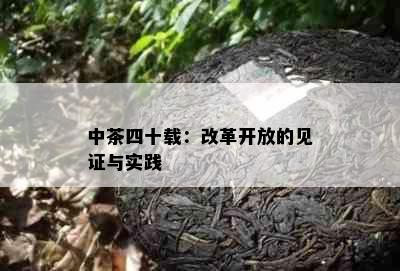 中茶四十载：改革开放的见证与实践