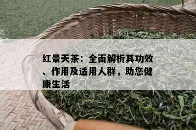 红景天茶：全面解析其功效、作用及适用人群，助您健康生活