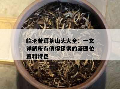 临沧普洱茶山头大全：一文详解所有值得探索的茶园位置和特色