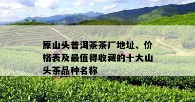 原山头普洱茶茶厂地址、价格表及最值得收藏的十大山头茶品种名称