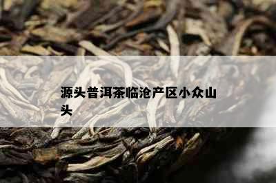 源头普洱茶临沧产区小众山头