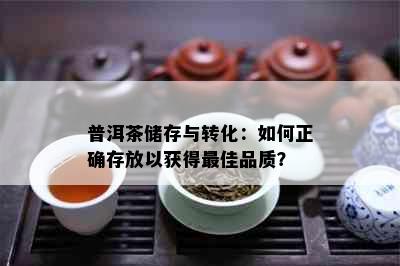 普洱茶储存与转化：如何正确存放以获得更佳品质？