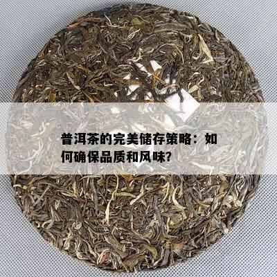 普洱茶的完美储存策略：如何确保品质和风味？