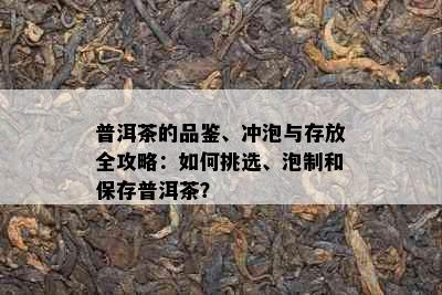 普洱茶的品鉴、冲泡与存放全攻略：如何挑选、泡制和保存普洱茶？