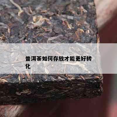 普洱茶如何存放才能更好转化