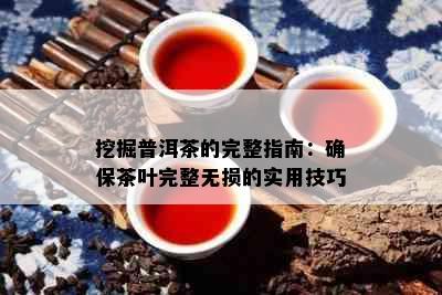 挖掘普洱茶的完整指南：确保茶叶完整无损的实用技巧