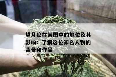 望月狼在茶圈中的地位及其影响：了解这位知名人物的背景和作品