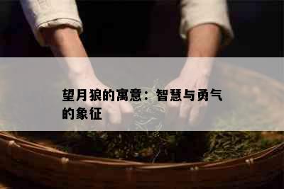 望月狼的寓意：智慧与勇气的象征