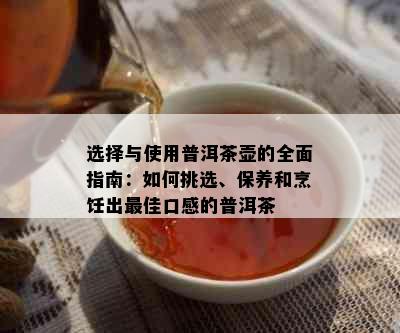 选择与使用普洱茶壶的全面指南：如何挑选、保养和烹饪出更佳口感的普洱茶