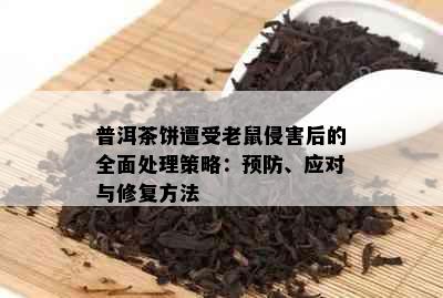 普洱茶饼遭受老鼠侵害后的全面处理策略：预防、应对与修复方法