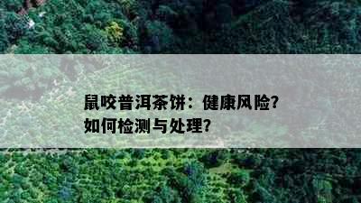 鼠咬普洱茶饼：健康风险？如何检测与处理？