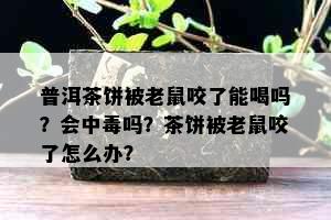 普洱茶饼被老鼠咬了能喝吗？会中吗？茶饼被老鼠咬了怎么办？