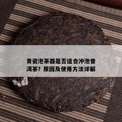 青瓷泡茶器是否适合冲泡普洱茶？原因及使用方法详解