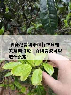 '青瓷泡普洱茶可行性及相关茶类讨论：百科青瓷可以泡什么茶'