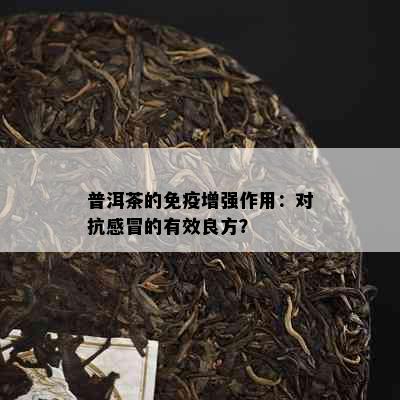 普洱茶的免疫增强作用：对抗感冒的有效良方？