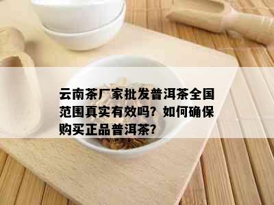 云南茶厂家批发普洱茶全国范围真实有效吗？如何确保购买正品普洱茶？