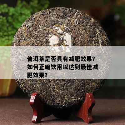 普洱茶是否具有减肥效果？如何正确饮用以达到更佳减肥效果？