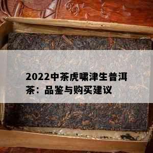 2022中茶虎啸津生普洱茶：品鉴与购买建议