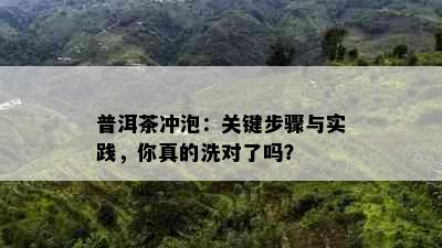 普洱茶冲泡：关键步骤与实践，你真的洗对了吗？