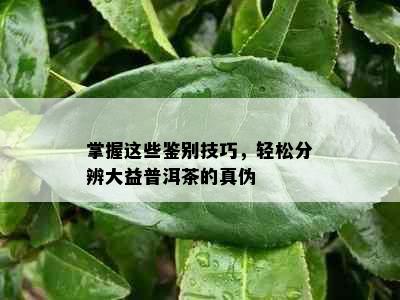 掌握这些鉴别技巧，轻松分辨大益普洱茶的真伪