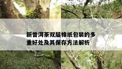 新普洱茶双层棉纸包装的多重好处及其保存方法解析