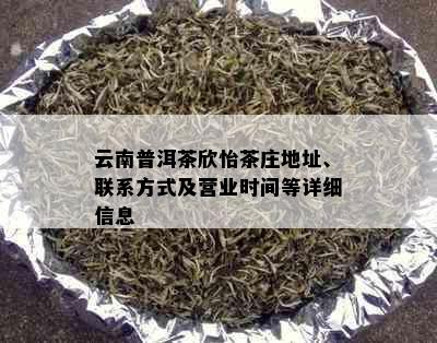 云南普洱茶欣怡茶庄地址、联系方式及营业时间等详细信息