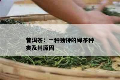 普洱茶：一种独特的绿茶种类及其原因