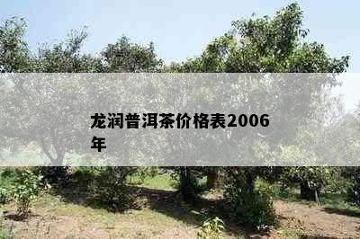 龙润普洱茶价格表2006年