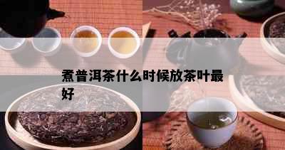 煮普洱茶什么时候放茶叶更好