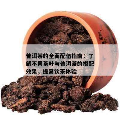 普洱茶的全面配伍指南：了解不同茶叶与普洱茶的搭配效果，提高饮茶体验